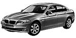 BMW F10 B20F5 Fault Code